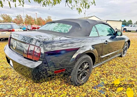 2006 Ford Mustang z USA, uszkodzony, nr VIN 1ZVFT84N165166218